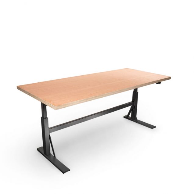 Elektrische werkbank met multiplex blad 2150x995x690-1160mm (bxdxh) - 350kg