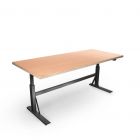 Elektrische werkbank met multiplex blad 2150x995x690-1160mm (bxdxh) - 350kg