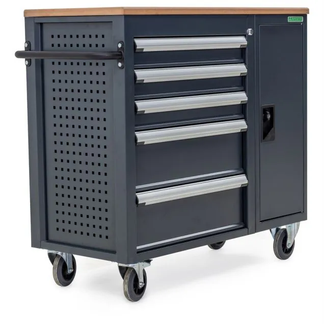 Gereedschapswagen 5 laden en kast grijs 960x1010x470 (hxbxd)